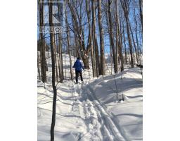 608450 12th Side Road, Blue Mountains, ON N0H2E0 Photo 37