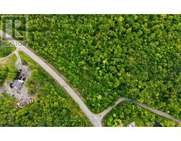 17 Lot, Muskoka Lakes, ON P0B1J0 Photo 12