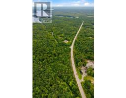 17 Lot, Muskoka Lakes, ON P0B1J0 Photo 21