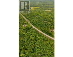 17 Lot, Muskoka Lakes, ON P0B1J0 Photo 18