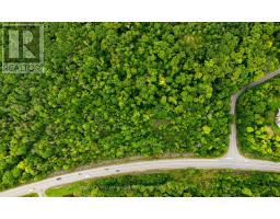 17 Lot, Muskoka Lakes, ON P0B1J0 Photo 16