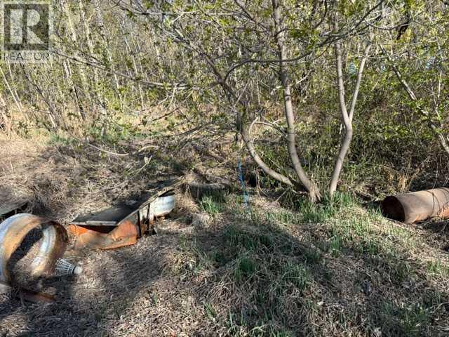 Old septic tank area