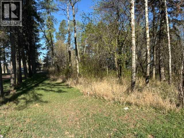 East viewing West just North of driveway lane
