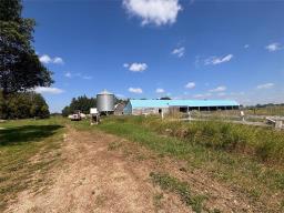 72140 96 Rd N Road N, Plumas, MB R0J1P0 Photo 28