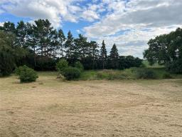 72140 96 Rd N Road N, Plumas, MB R0J1P0 Photo 32