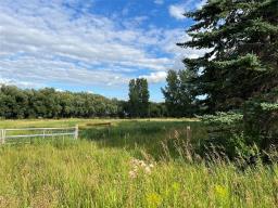 72140 96 Rd N Road N, Plumas, MB R0J1P0 Photo 37