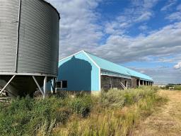 72140 96 Rd N Road N, Plumas, MB R0J1P0 Photo 38