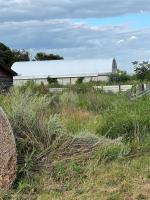 72140 96 Rd N Road N, Plumas, MB R0J1P0 Photo 40