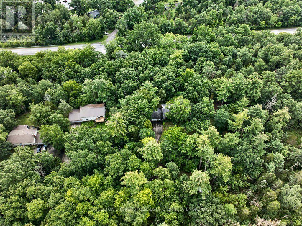 237 OLD RIVER ROAD - Image 35