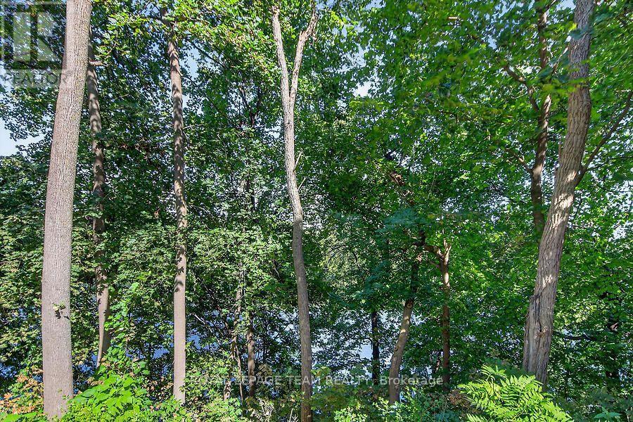 #701 131 WURTEMBURG STREET - Image 43