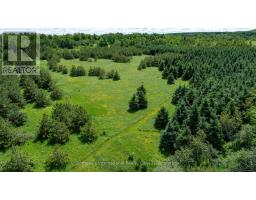 Lot 14 Con 2 1st Line E Ehs, Mulmur, ON L9V0G2 Photo 10