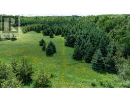 Lot 14 Con 2 1st Line E Ehs, Mulmur, ON L9V0G2 Photo 11