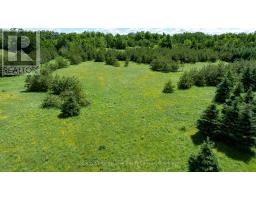 Lot 14 Con 2 1st Line E Ehs, Mulmur, ON L9V0G2 Photo 12