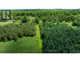 Lot 14 Con 2 1st Line E Ehs, Mulmur, ON L9V0G2 Photo 14