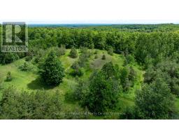 Lot 14 Con 2 1st Line E Ehs, Mulmur, ON L9V0G2 Photo 15