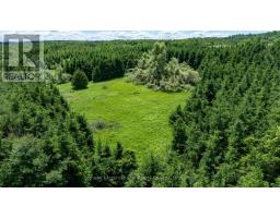 Lot 14 Con 2 1st Line E Ehs, Mulmur, ON L9V0G2 Photo 17