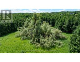 Lot 14 Con 2 1st Line E Ehs, Mulmur, ON L9V0G2 Photo 18