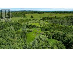 Lot 14 Con 2 1st Line E Ehs, Mulmur, ON L9V0G2 Photo 19
