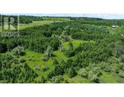 Lot 14 Con 2 1st Line E Ehs, Mulmur, ON L9V0G2 Photo 24