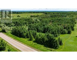 Lot 14 Con 2 1st Line E Ehs, Mulmur, ON L9V0G2 Photo 9