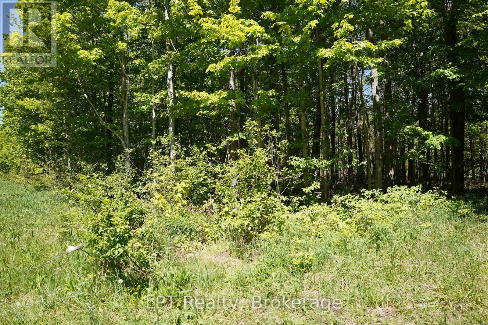 LOT 16 GREY ROAD 17, Georgian Bluffs — photo 17