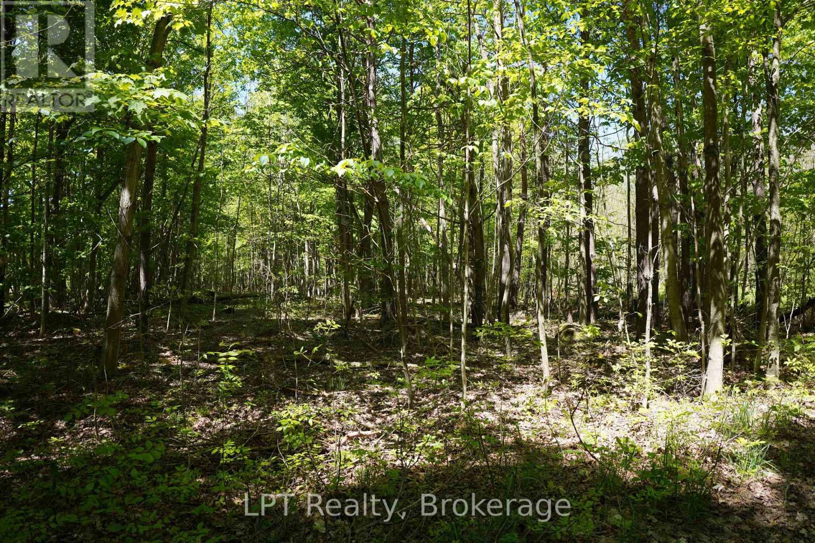 LOT 16 GREY ROAD 17, Georgian Bluffs — photo 19