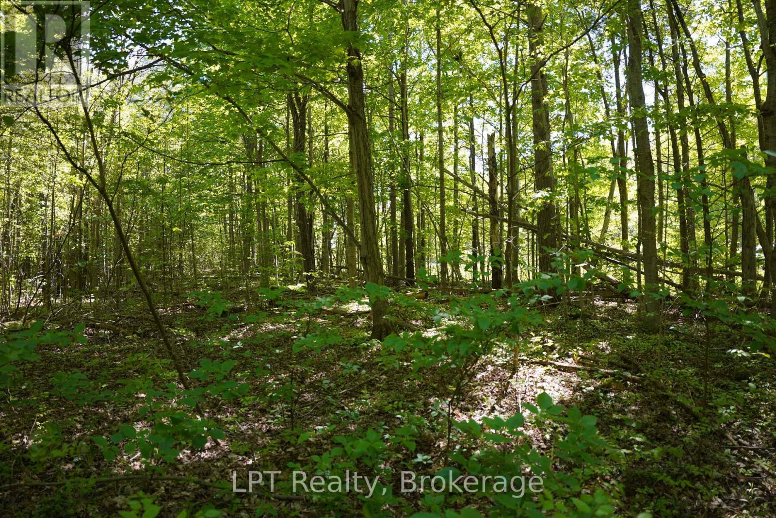 LOT 16 GREY ROAD 17, Georgian Bluffs — photo 21