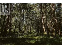 754 Burrill Road, Galiano Island, BC V0N1P0 Photo 37