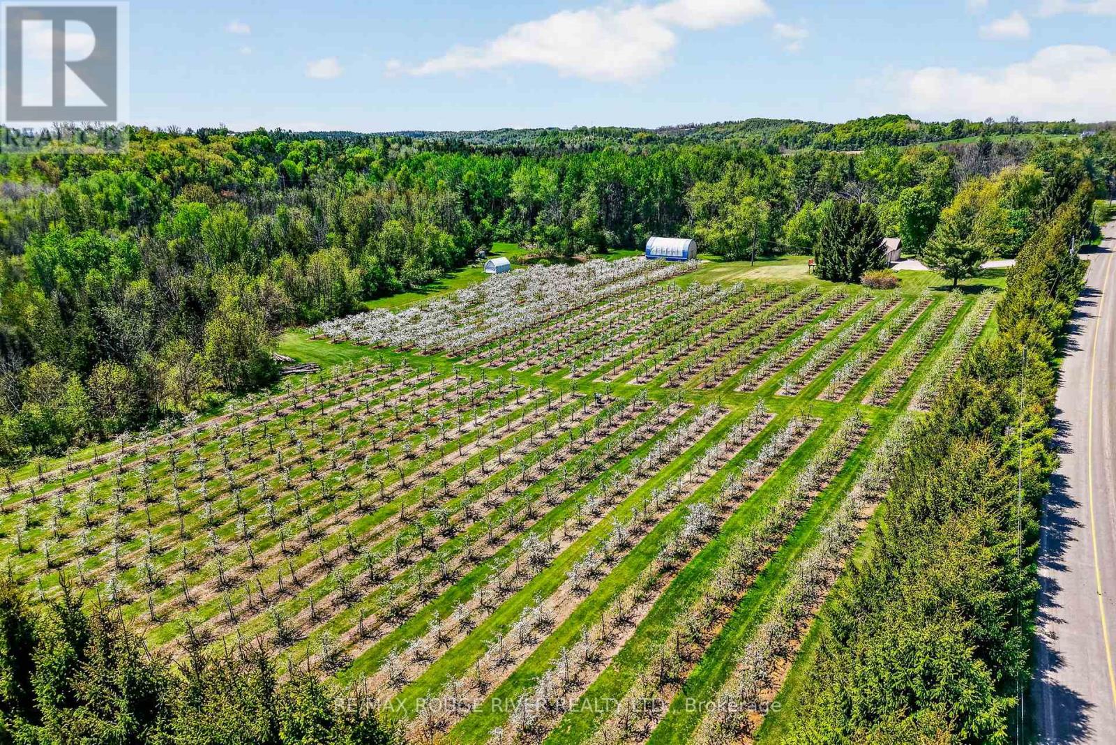 223 TURK ROAD - 35