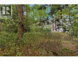 1114 Rainforest Lane, Sidney Island, BC A1A1A1 Photo 18