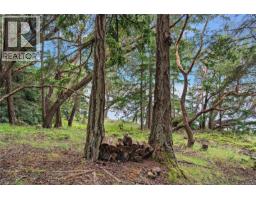 345 Evergreen Lane, Sidney Island, BC V0N2G0 Photo 21