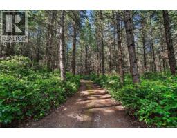 377 Evergreen Lane, Sidney Island, BC V8L5Y9 Photo 10