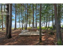 377 Evergreen Lane, Sidney Island, BC V8L5Y9 Photo 9