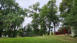 202 Lyndale Drive, Winnipeg, MB R2H1L6 Photo 15