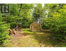 50 Andrew Lake Road, Laconia, NS B4V5W2 Photo 49