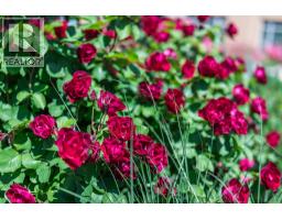 304-15 Park Place, Osoyoos, BC V0H1V0 Photo 87