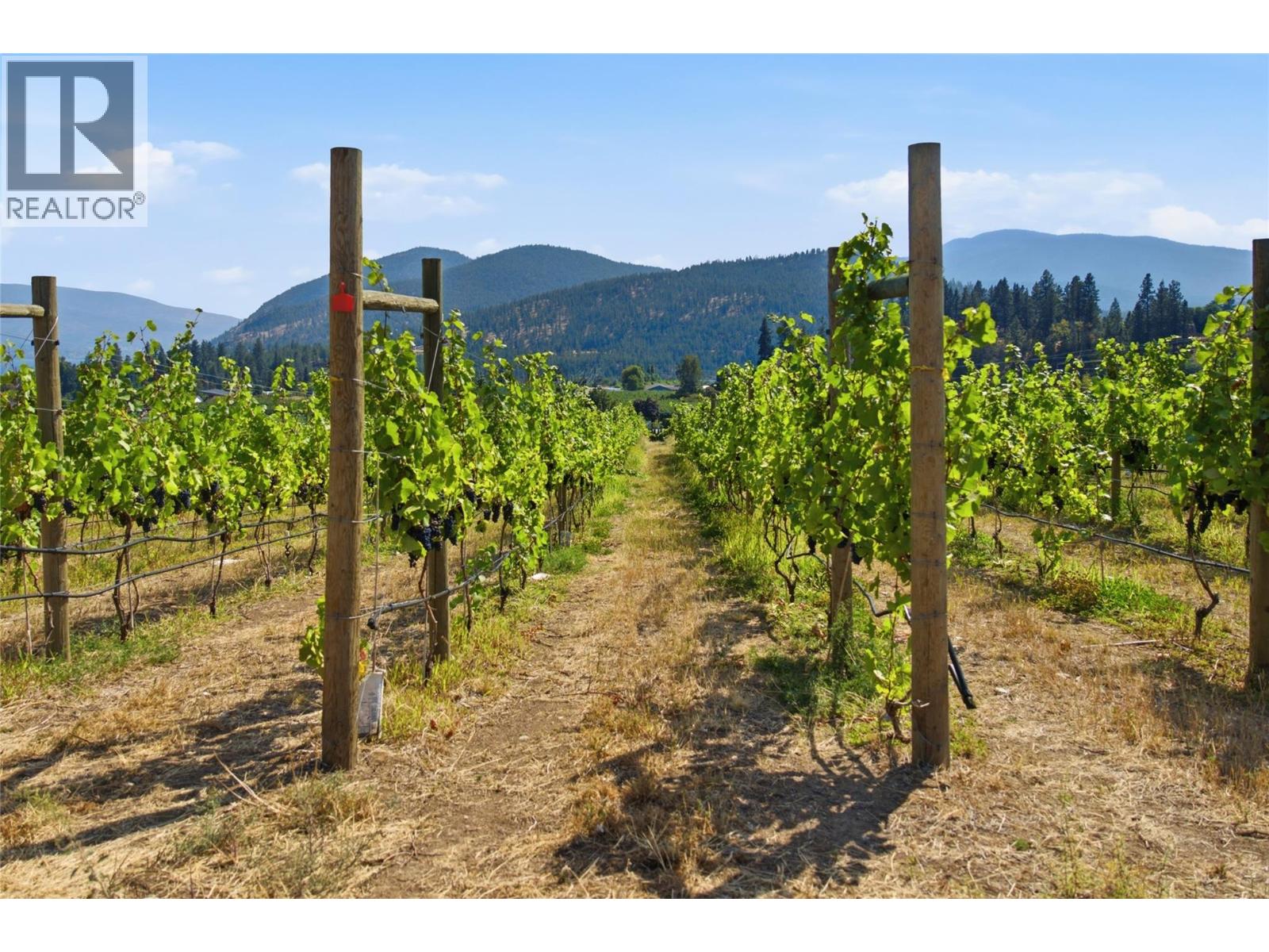 6007 Giants Head Road, Summerland