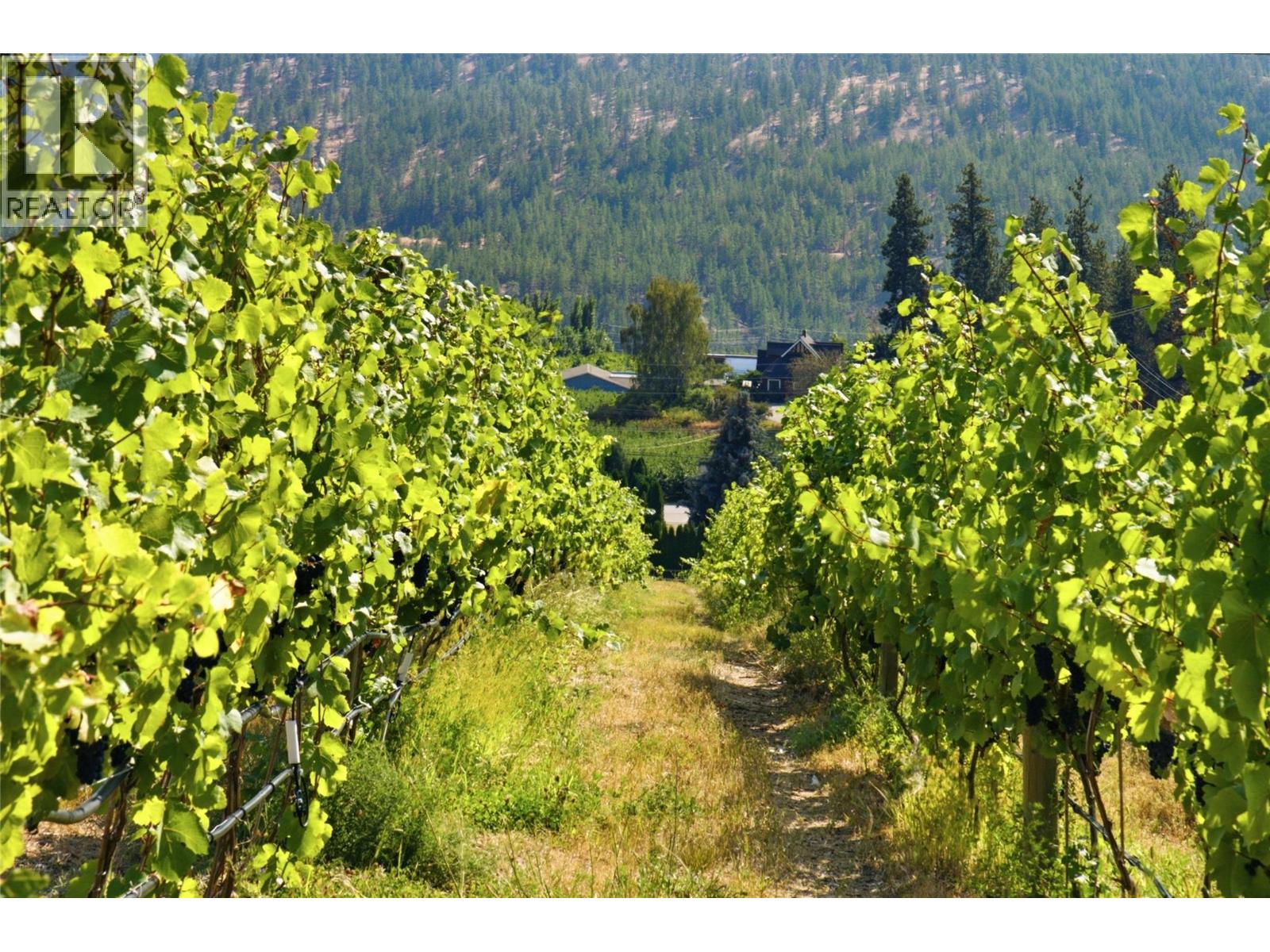 6007 Giants Head Road, Summerland