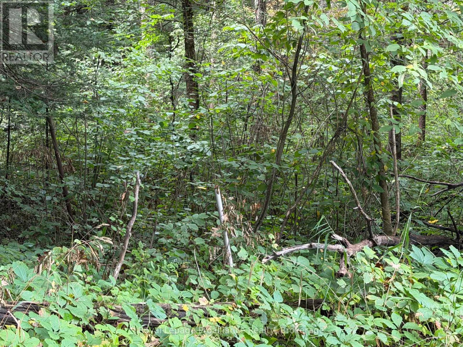0 Twin Sisters Lake Road, Marmora and Lake (Marmora Ward), Ontario, K0K2M0, Marmora and Lake (Marmora Ward), Ontario — photo 5 of 5