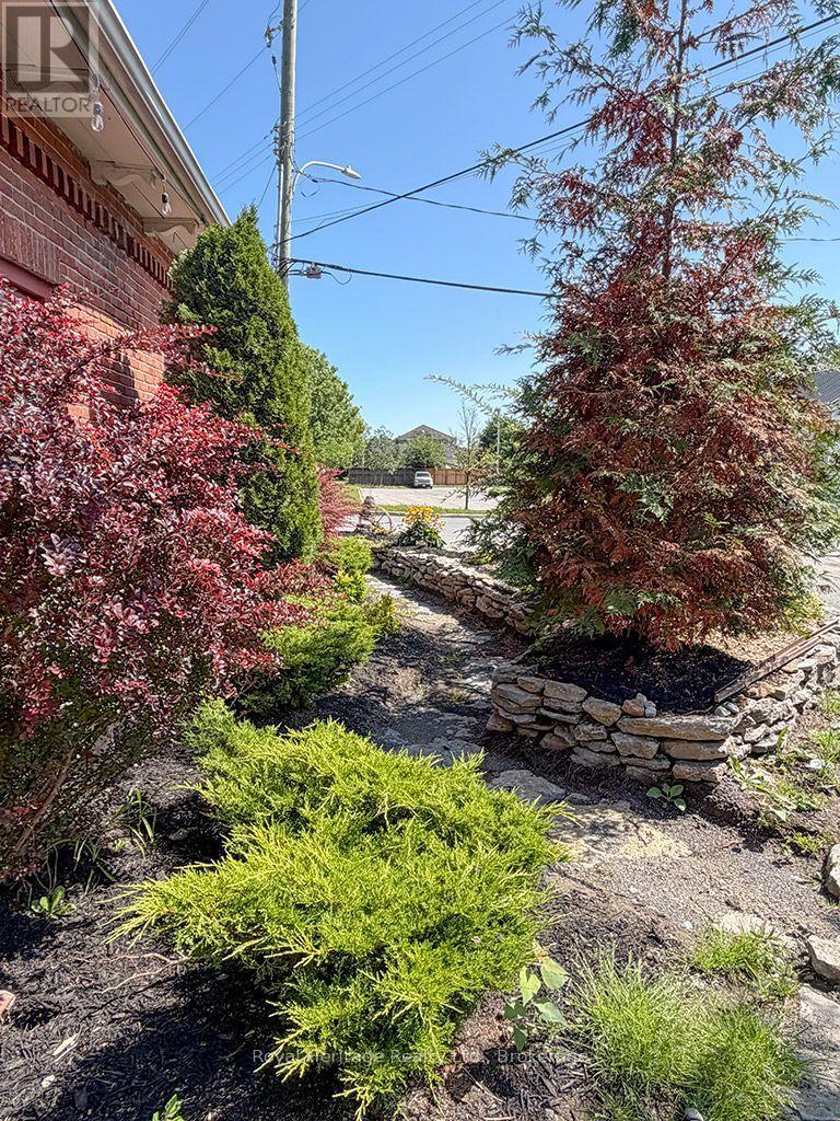 6 WILLARD STREET - Image 35