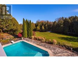 674189 Hurontario Street, Mono, ON L9W5R9 Photo 39