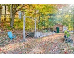 10874 Canoe Lake Road, Frontenac, ON K0H2V0 Photo 12