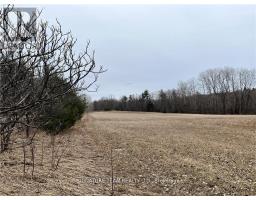 0 Grant Settlement Road, Whitewater Region, ON K0J1V0 Photo 10