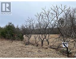 0 Grant Settlement Road, Whitewater Region, ON K0J1V0 Photo 7