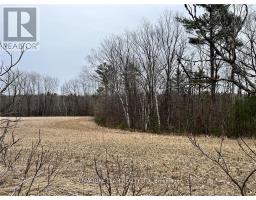 0 Grant Settlement Road, Whitewater Region, ON K0J1V0 Photo 9