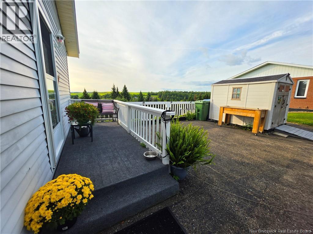 21 Belair Street - 16