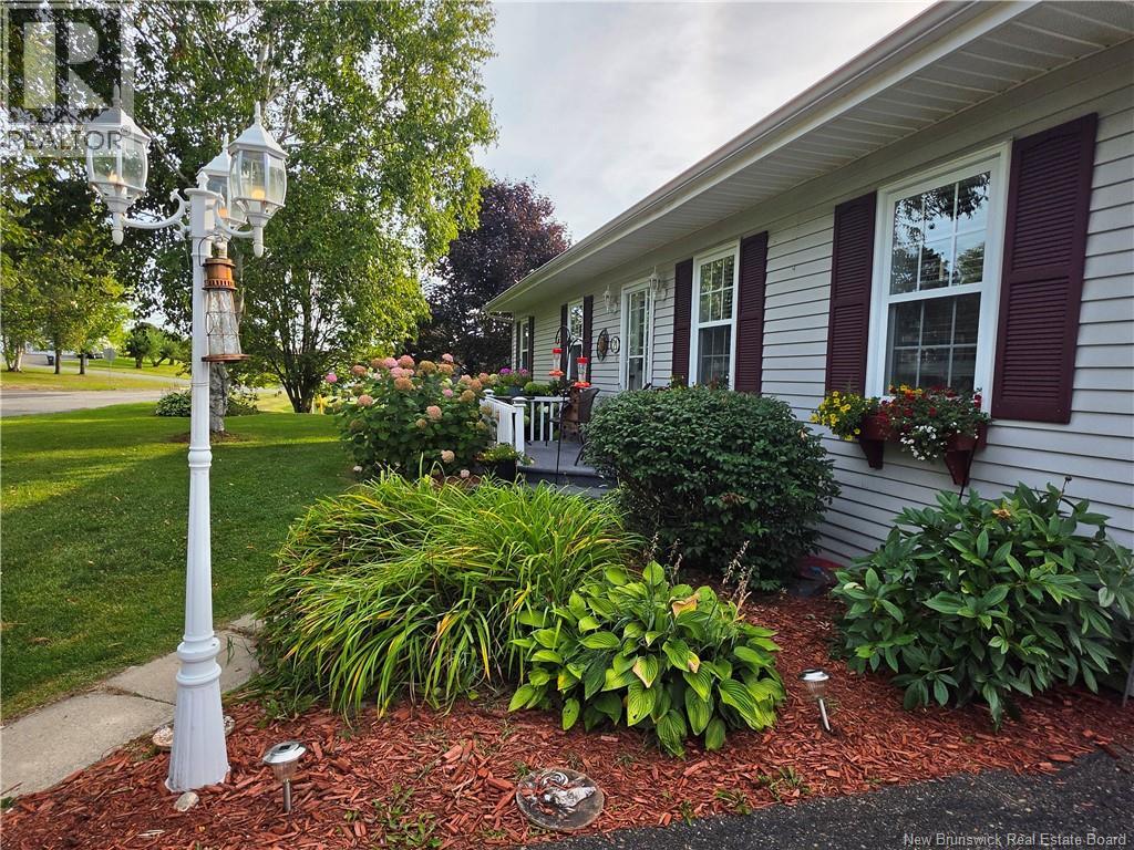 21 Belair Street - 3