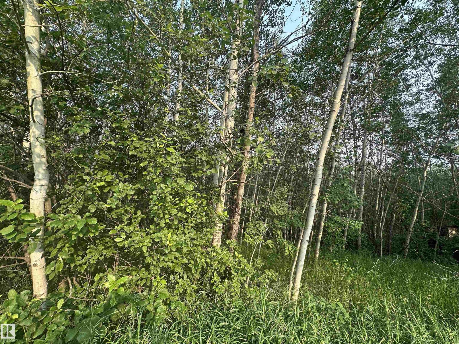 Photo 36