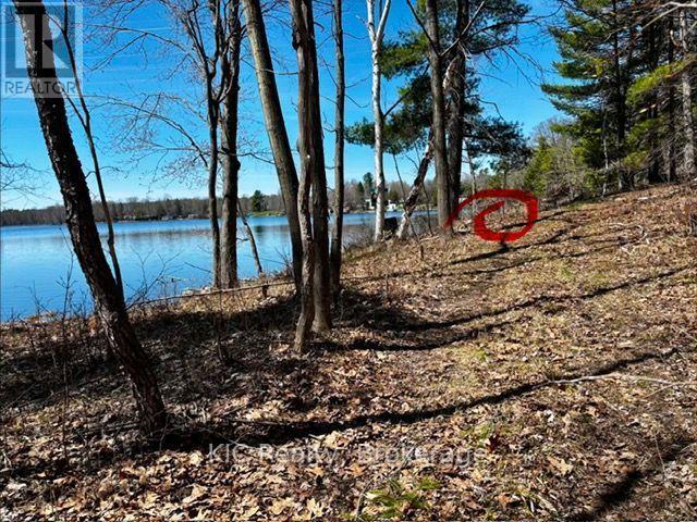 Vacant Land opportunity property view