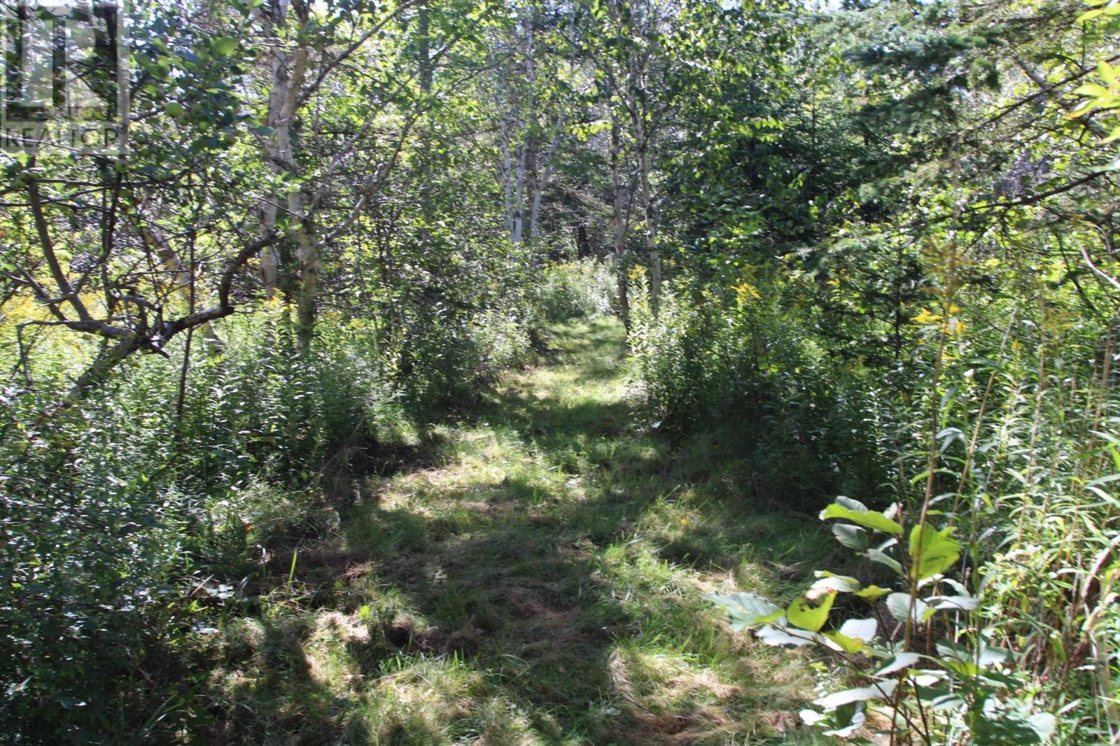 530 French Cross Road - Image 34